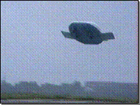 UFO?